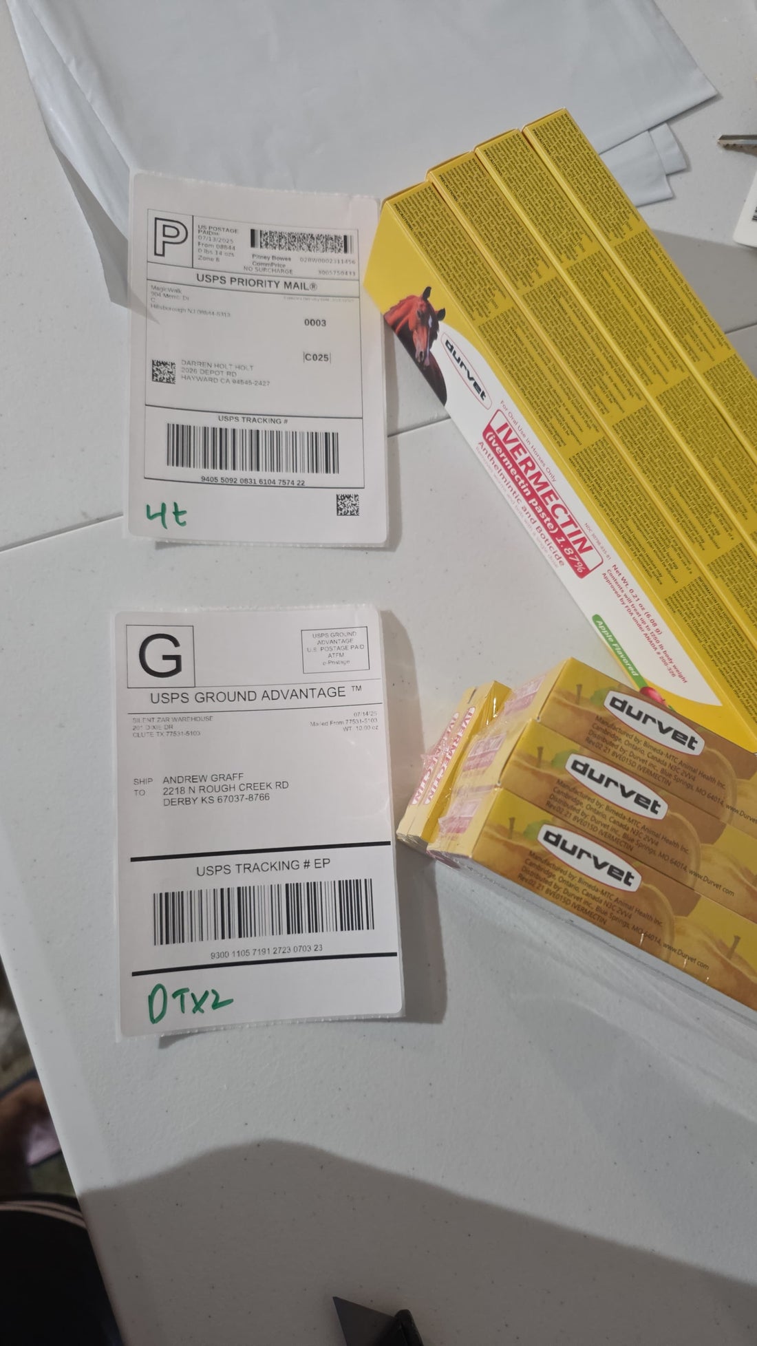10X Paste Horse Dewormer - Apple Flavor Exp 12/2026 Anthelmintic & Boticide (Free shipping Fast delivery)